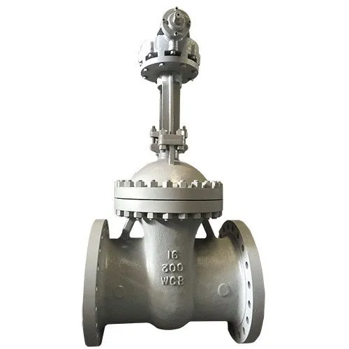 Gearbox Rooj vag Valve